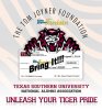 Tiger-Pride-Image-r1b.jpg