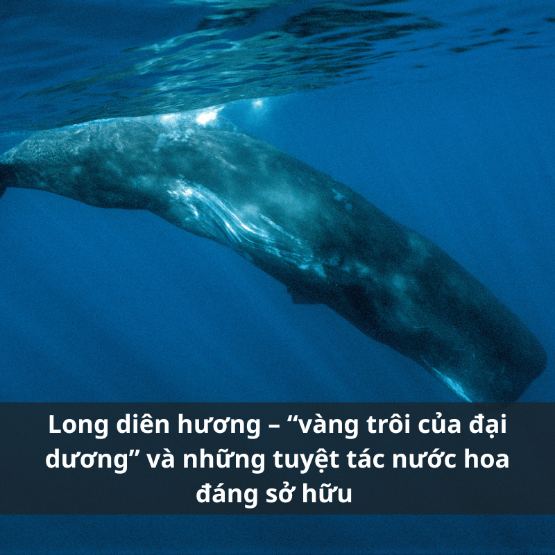 Nuoc-hoa-huong-long-dien-huong.png